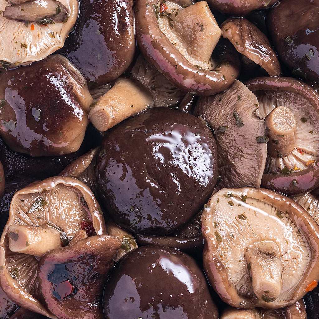 Champignons sauvages