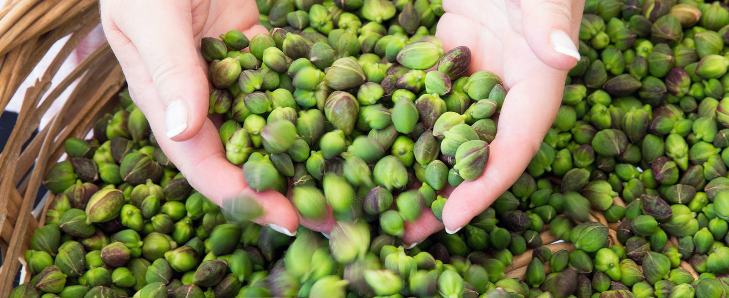 Câpres des îles Lipari au vinaigre de vin blanc