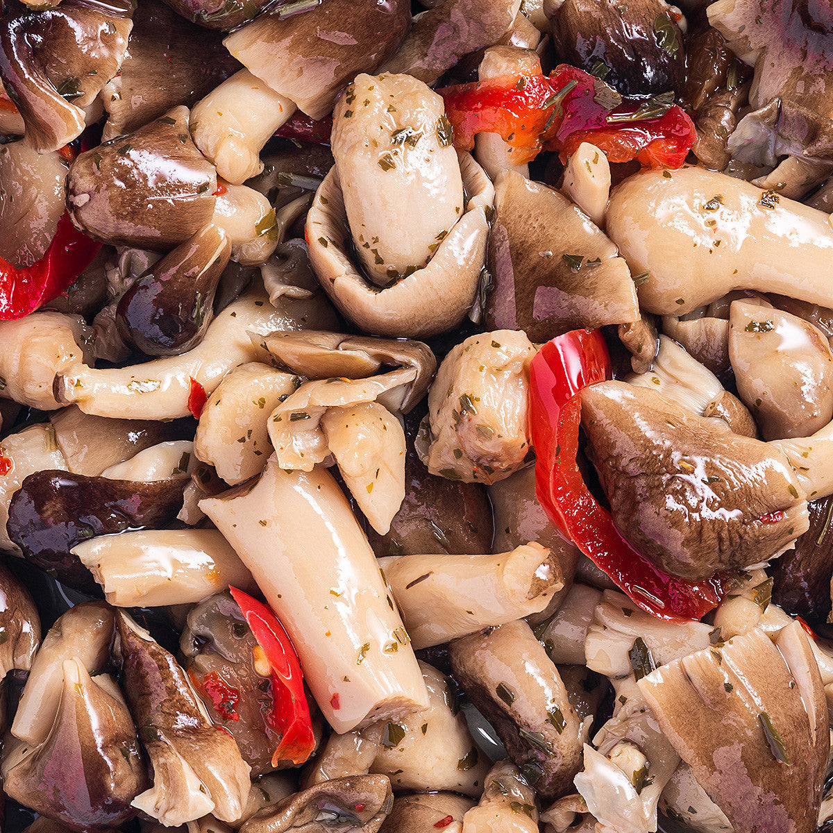 Hongos De Paja